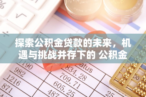 钦南探索公积金贷款的未来，机遇与挑战并存下的 公积金贷款风险防控