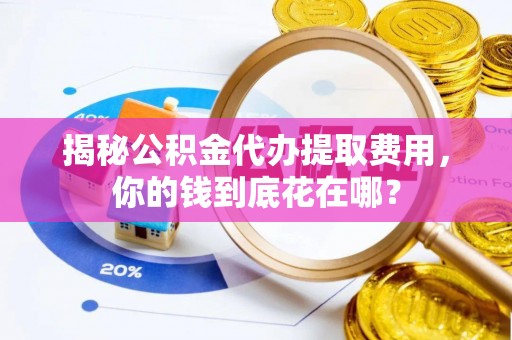 钦南揭秘公积金代办提取费用，你的钱到底花在哪？
