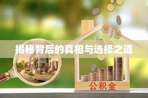 钦南揭秘背后的真相与选择之道